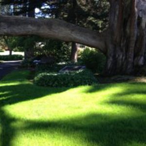 Physical Exercise plus Music Heals Grief and Loss