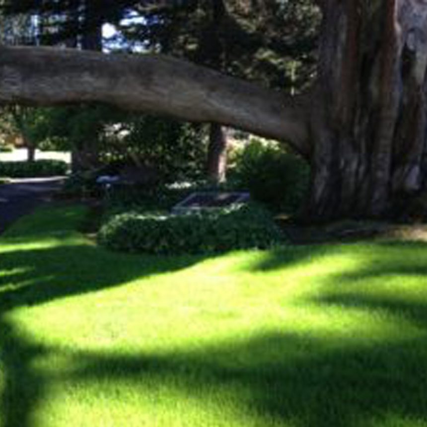 Physical Exercise plus Music Heals Grief and Loss