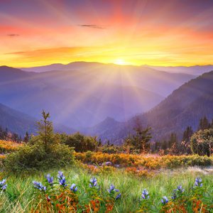 Grief Continues to Evolve even at Social Security Age