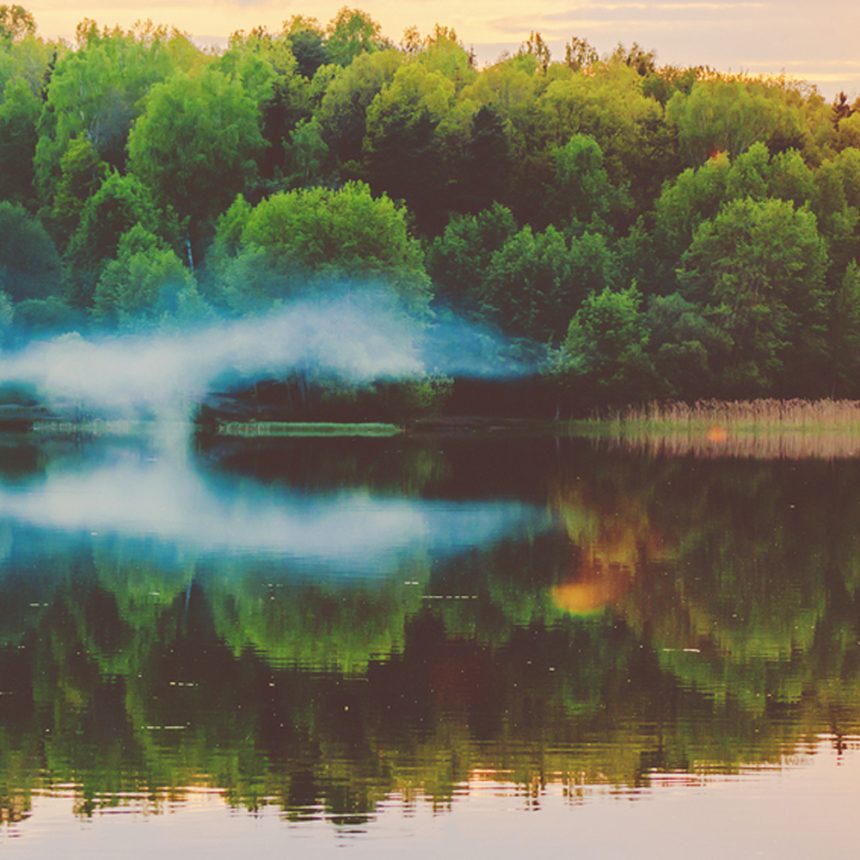 The Anxiety Interference:  What we can do about it