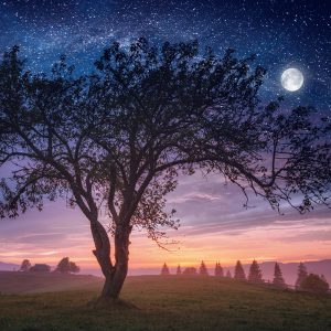 Anger triggered by Anxiety Remedy