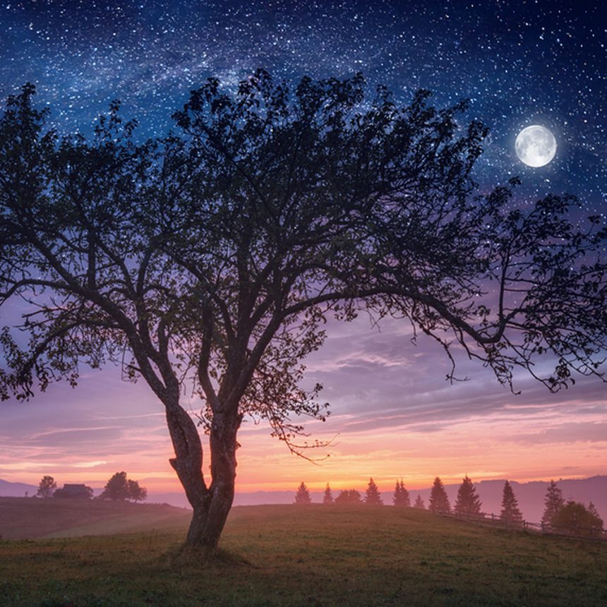 Anger triggered by Anxiety Remedy