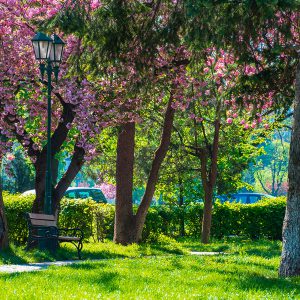 Promise of Better Days Ahead