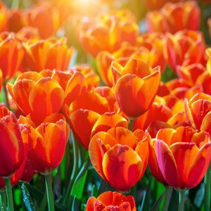 Discovering that you are Worthy