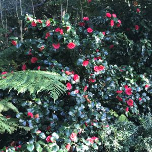 Promise of Better Days Ahead: Part 10 Seeking Safety