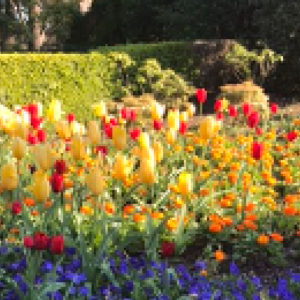 Acceptance: Deciding to Put Traumatizing Memories to Rest