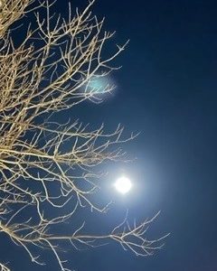 Recovering from being told I was Stupid