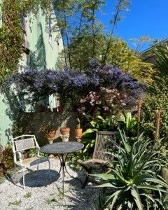 The Benefits of Long-Term Therapy